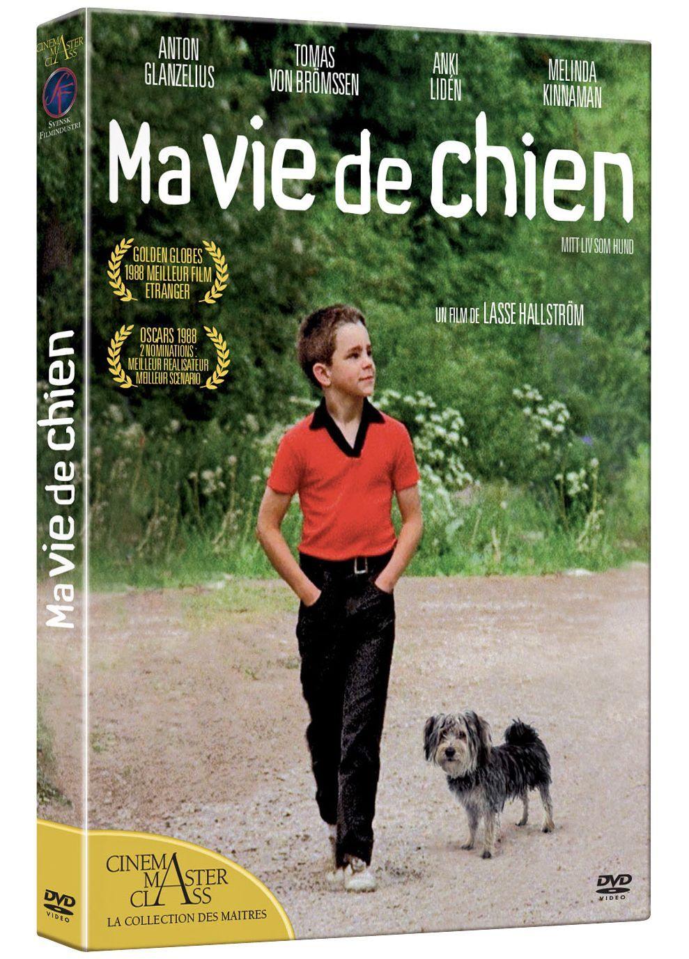 Ma Vie De Chien [DVD] - flash vidéo