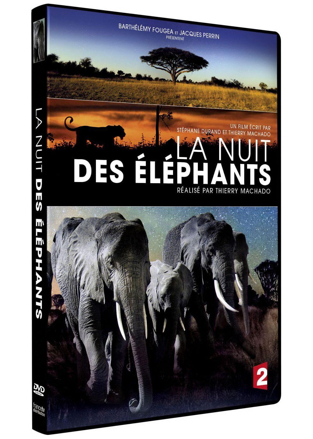 La Nuit Des éléphants [DVD] - flash vidéo