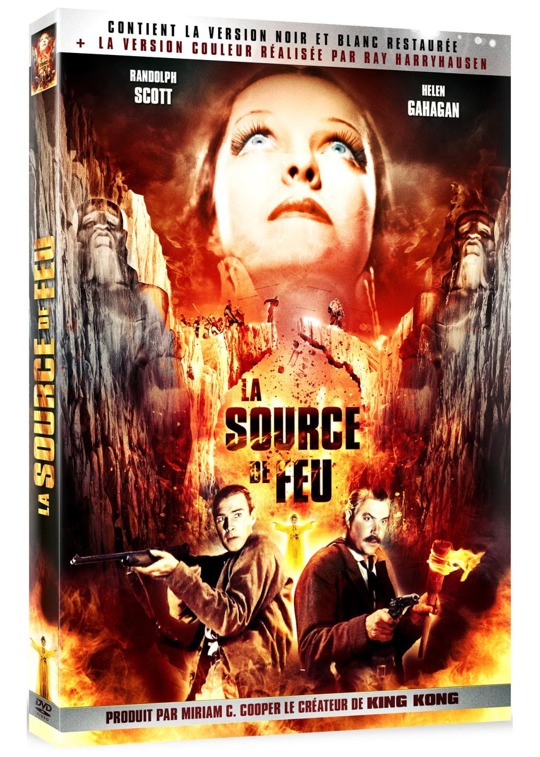 La Source De Feu [DVD] - flash vidéo