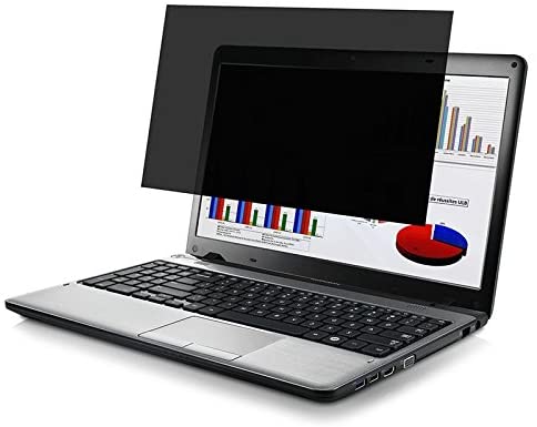 Port Designs Professional Privacy Filter 2D 12.5" 16/10 - flash vidéo