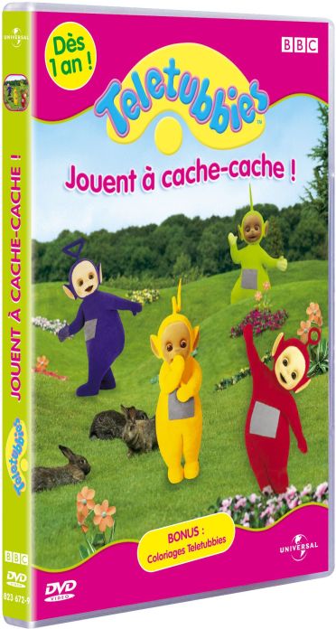 Les Teletubbies : Joue à Cache-cache ! [DVD] - flash vidéo