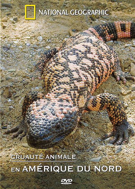 Cruauté Animale En Amérique Du Nord [DVD] - flash vidéo
