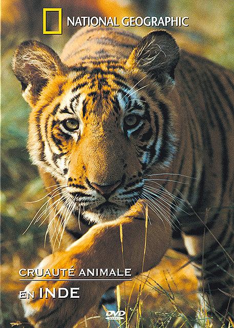 Cruauté Animale En Inde [DVD] - flash vidéo
