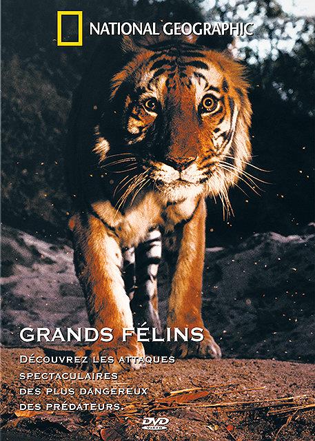Grands Félins [DVD] - flash vidéo
