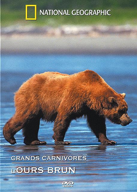 Grands Carnivores : L'ours Brun [DVD] - flash vidéo