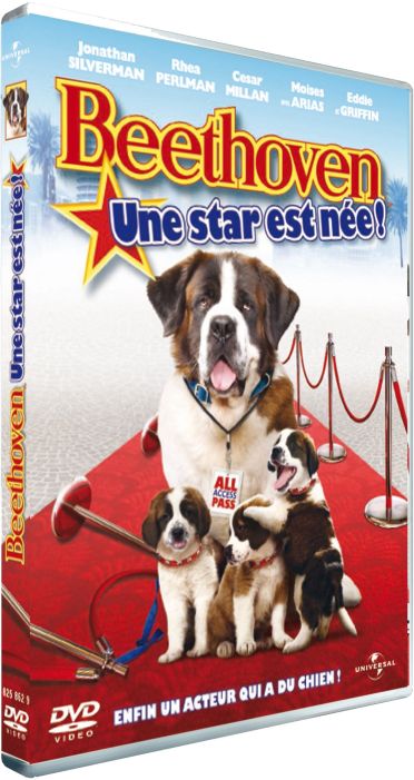 Beethoven, une star est née [DVD] - flash vidéo
