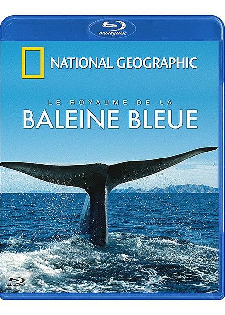 National Geographic - Le royaume de la baleine bleue [Blu-ray] - flash vidéo