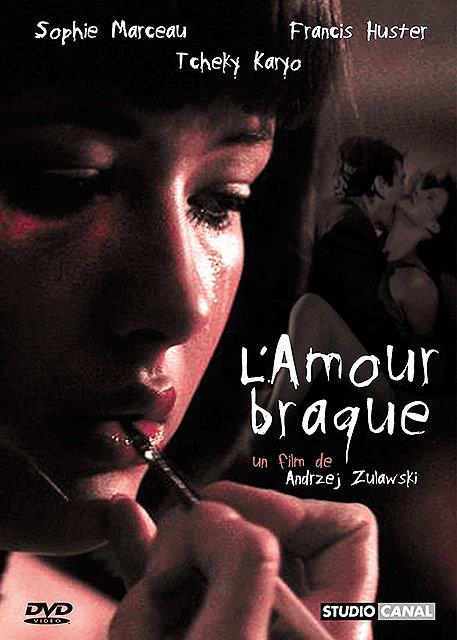 L'amour Braque [DVD] - flash vidéo