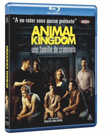 Animal Kingdom [Blu-ray] - flash vidéo