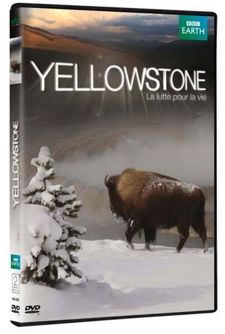 Yellowstone, La Lutte Pour La Vie [DVD] - flash vidéo