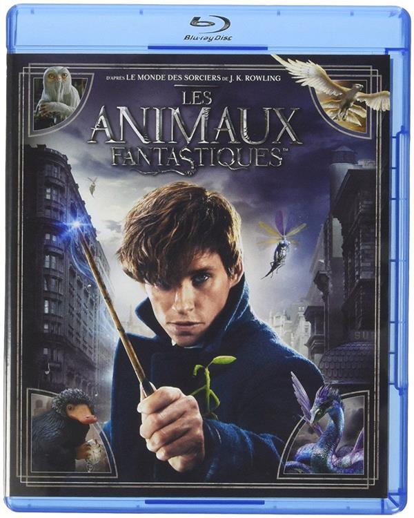 Les animaux fantastiques [Blu-ray] - flash vidéo
