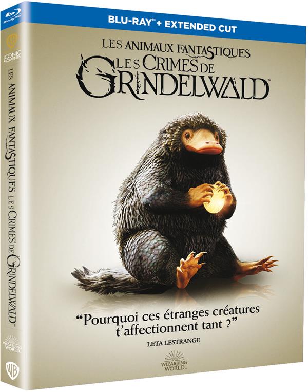 Les Animaux fantastiques : Les Crimes de Grindelwald [Blu-ray] - flash vidéo