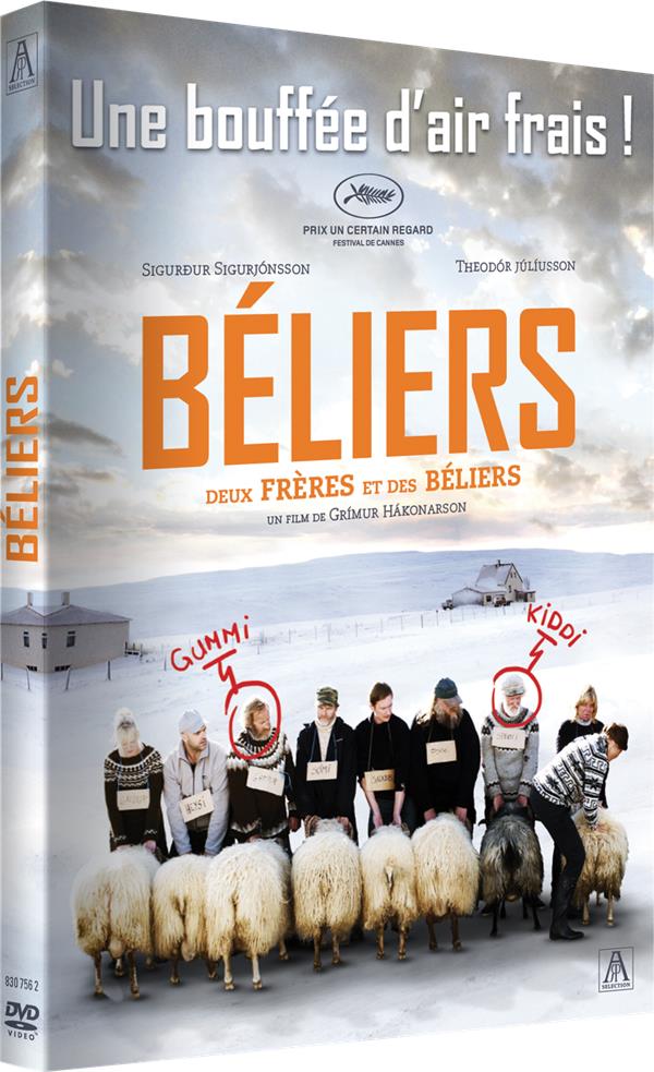 Béliers [DVD] - flash vidéo
