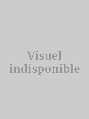 Coffret intégrale Twin Peaks [Blu-ray] - flash vidéo