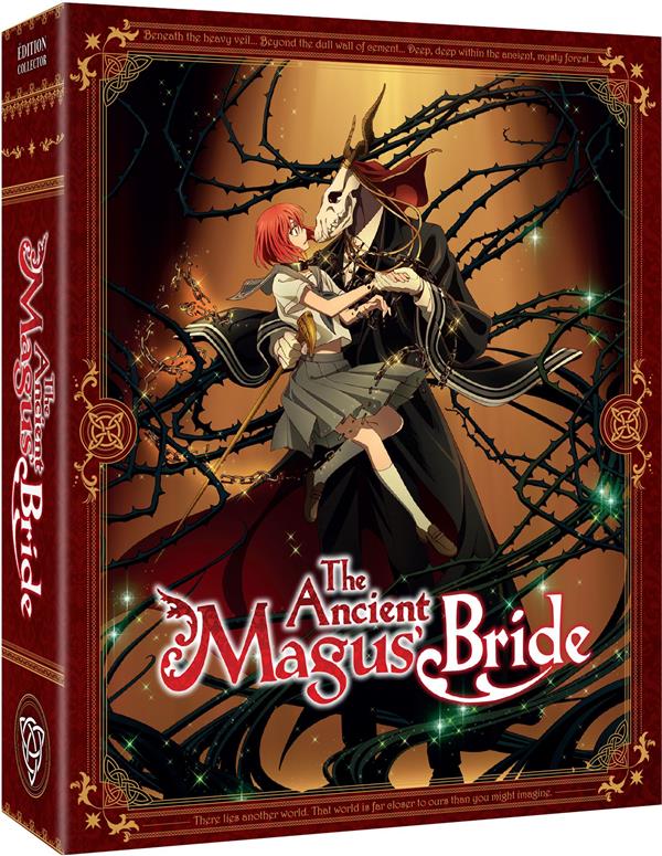 The Ancient Magus Bride - Saison 1 [DVD]