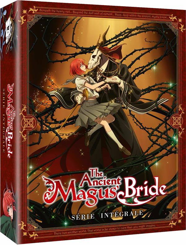 The Ancient Magus Bride - Saison 1 [DVD]