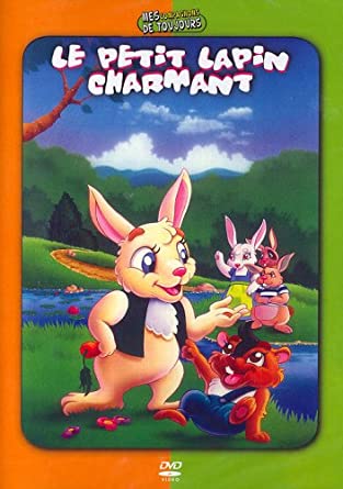 Le petit lapin charmant [DVD] - flash vidéo