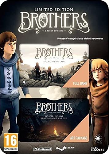 Brothers Limited Edition - flash vidéo