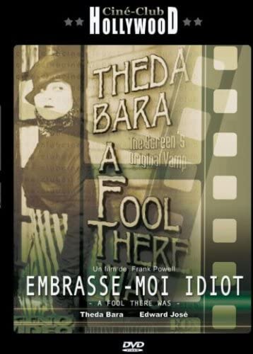 Embrasse-moi Idiot [DVD] - flash vidéo