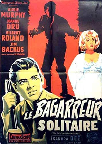 Le Bagarreur Solitaire [DVD] - flash vidéo