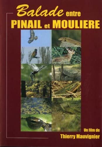 Balade Entre Pinail Et Moulière [DVD] - flash vidéo