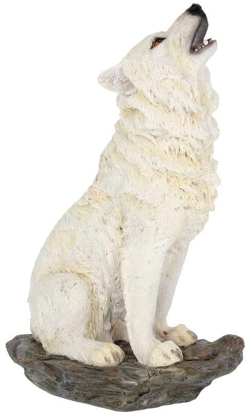 Storms Cry Figure 20cm - flash vidéo