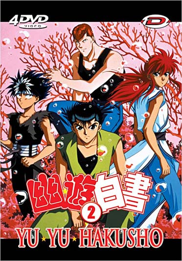 Yu Yu Hakusho - Box 2 [DVD] - flash vidéo