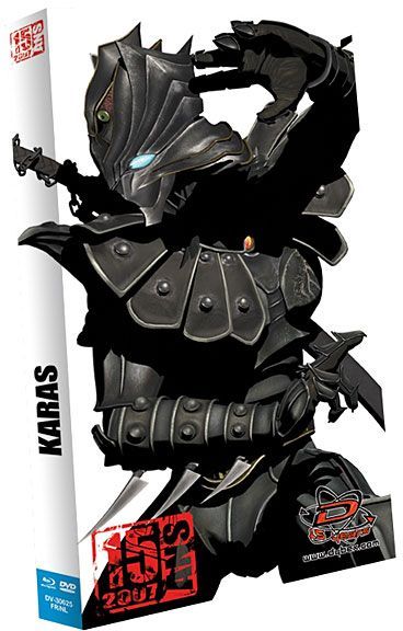 Coffret intégrale Karas [DVD] - flash vidéo