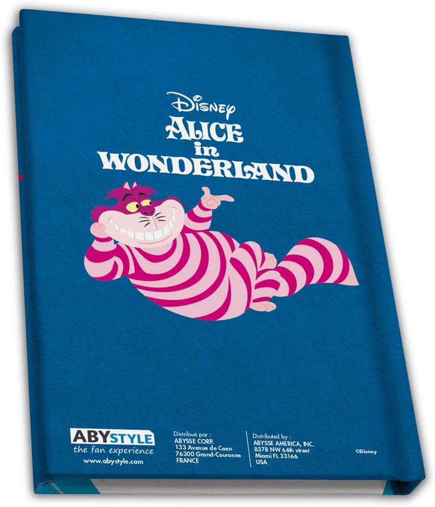 Disney - Alice au pays des merveilles - Carnet - flash vidéo