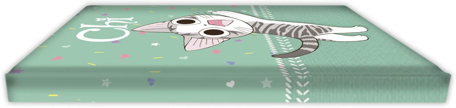 Chi - Mignonne - Carnet - flash vidéo