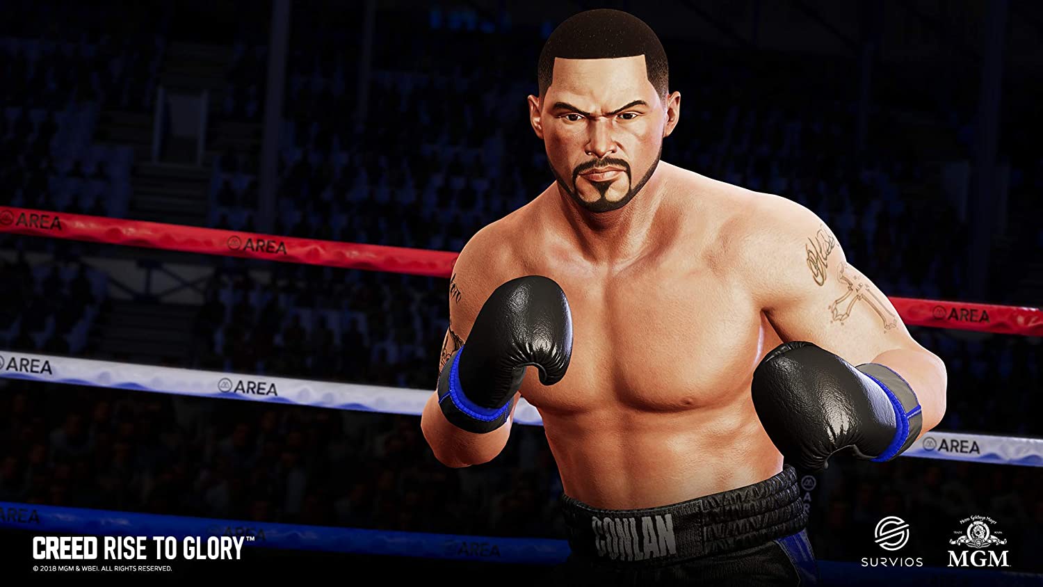 Creed : Rise to Glory - flash vidéo