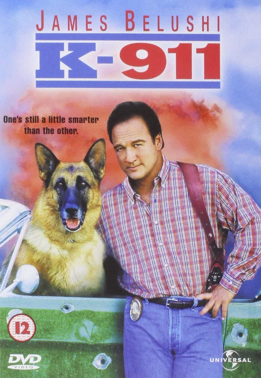Chien De Flic 2 [DVD] - flash vidéo