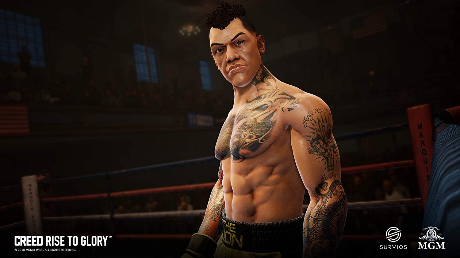 Creed : Rise to Glory - flash vidéo