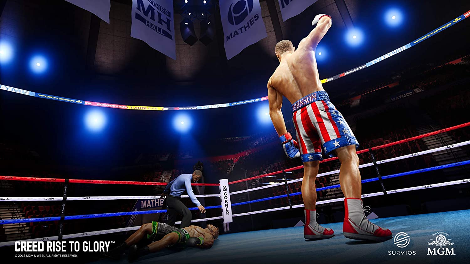 Creed : Rise to Glory - flash vidéo