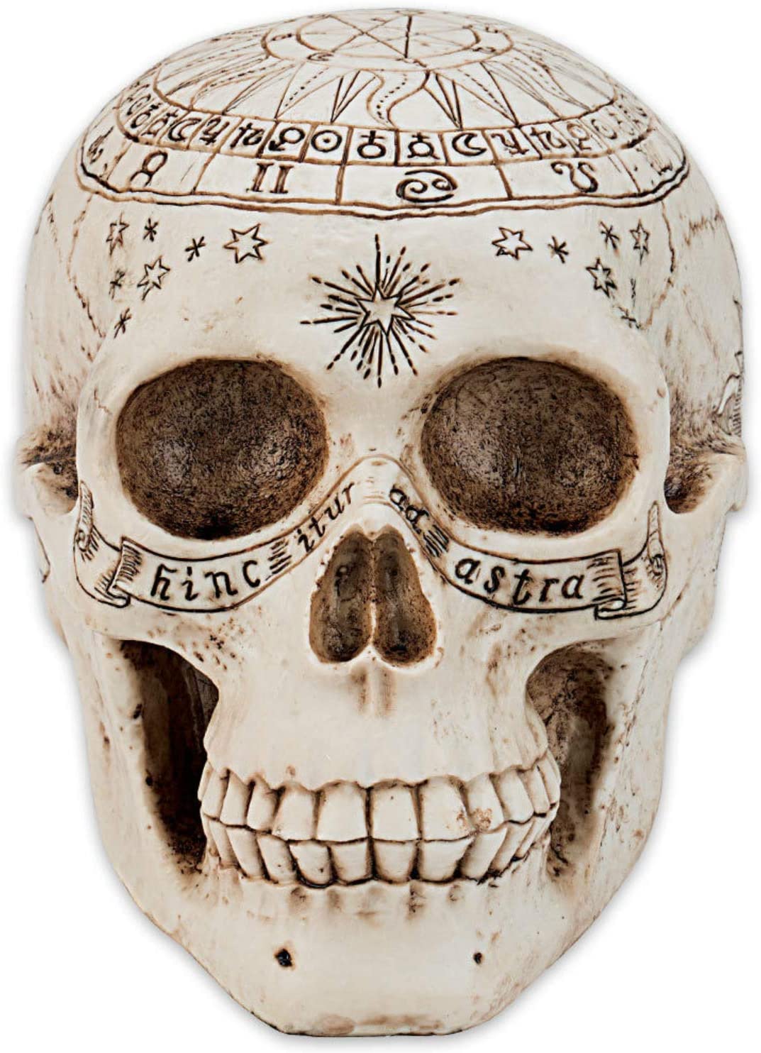 Astrological Skull - Crâne grâvé avec cercle zodiacale 20cm