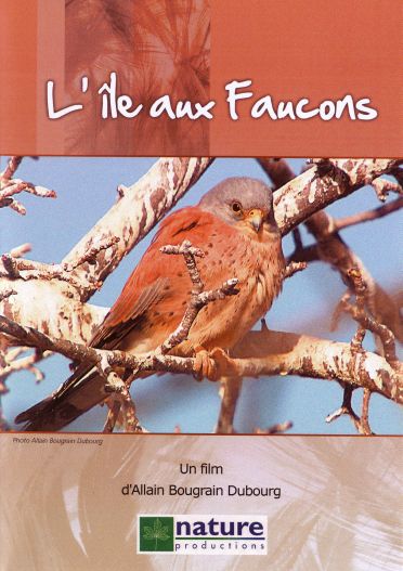 L'île Aux Faucons [DVD] - flash vidéo