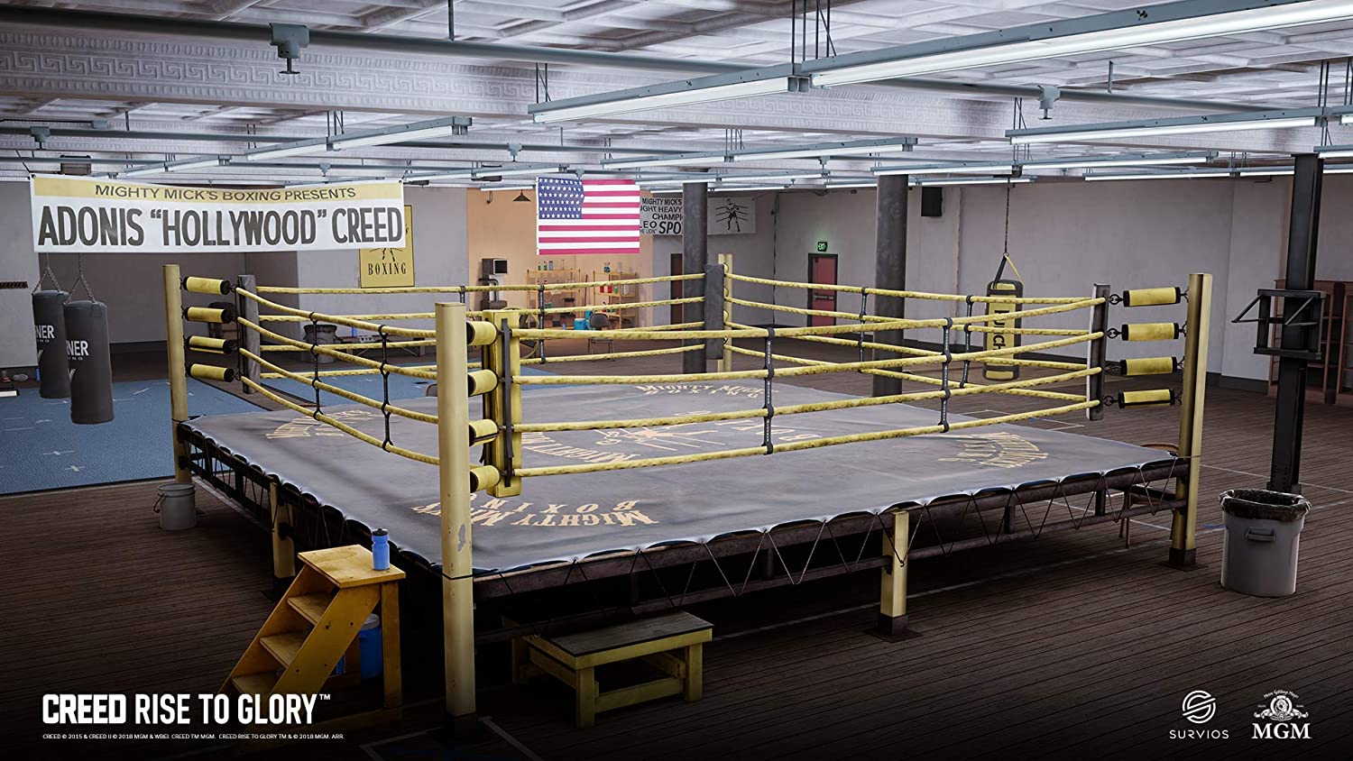 Creed : Rise to Glory - flash vidéo