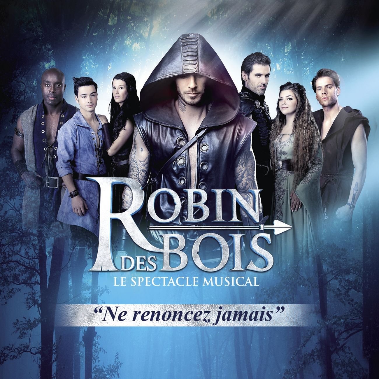 Robin Des Bois "Ne renoncez jamais" [DVD] - flash vidéo