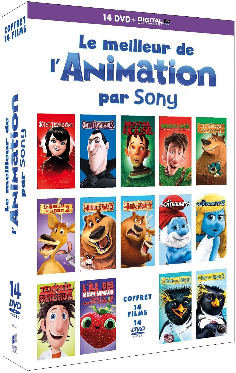 Coffret Big Faces 14 Films [DVD] - flash vidéo
