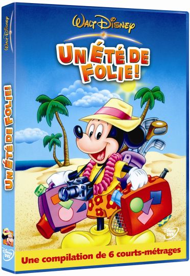 Mickey - Un été de folie ! [DVD] - flash vidéo