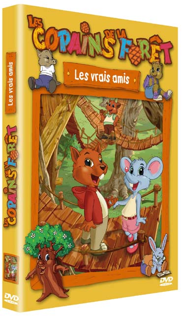 Les Copains De La Forêt : Les Vrais Amis [DVD] - flash vidéo