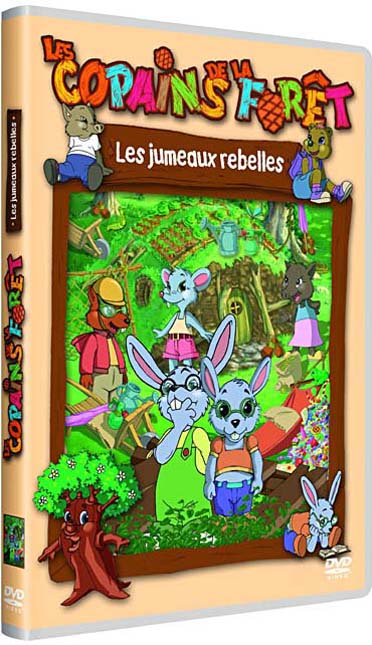 Les Copains De La Forêt : Le Masque Magique [DVD] - flash vidéo