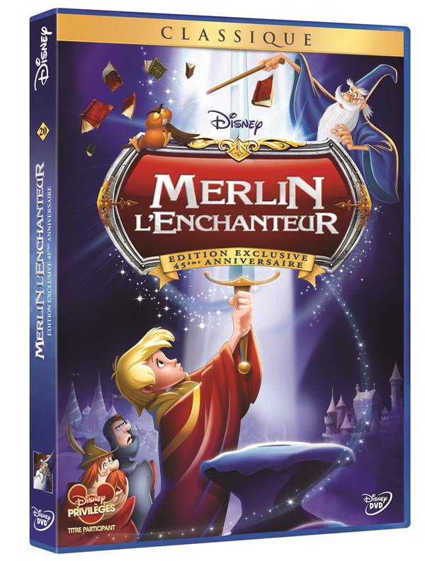 Merlin l'enchanteur [DVD] - flash vidéo