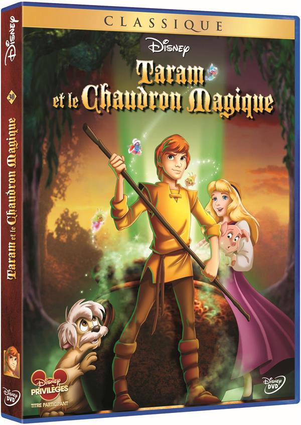 Taram et le chaudron magique [DVD] - flash vidéo