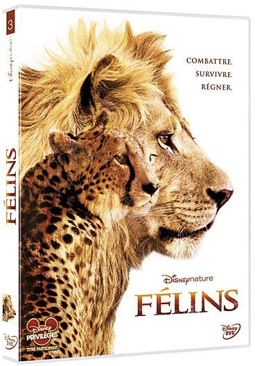 Felins [DVD]