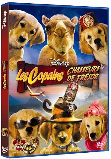 Les Copains Chasseurs De Trésor [DVD] - flash vidéo