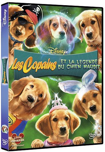 Les Copains Et La Légende Du Chien Maudit [DVD] - flash vidéo