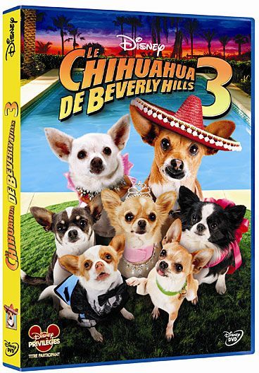Le Chihuahua De Beverly Hills 3 [DVD] - flash vidéo