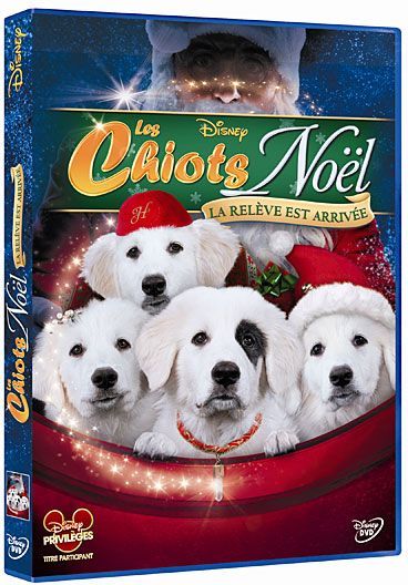 Les Chiots Noël, la relève est arrivée [DVD] - flash vidéo