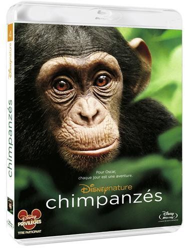 Chimpanzés [Blu-ray] - flash vidéo
